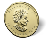 Picture of 1 oz Canadian Gold Maple Leaf Coin (Random Year, .9999 Pure)